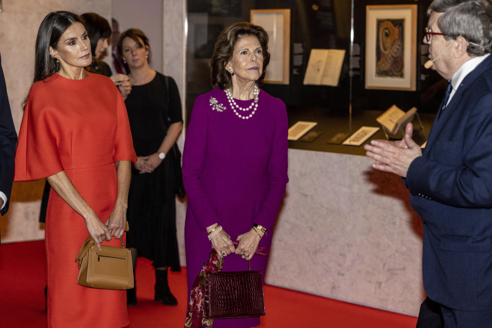 Eclipsó a Silvia de Suecia con su vestido