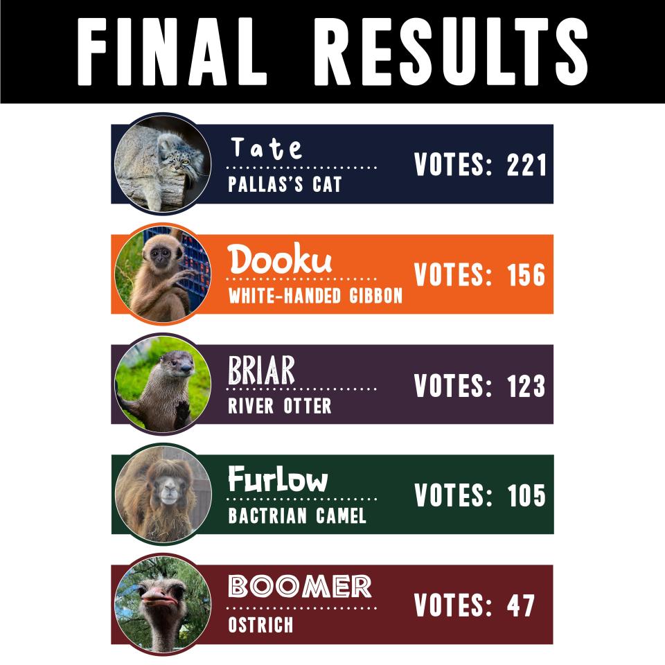 Here are the results of the Utica Zoo's second annual election to choose a preZOOdent.