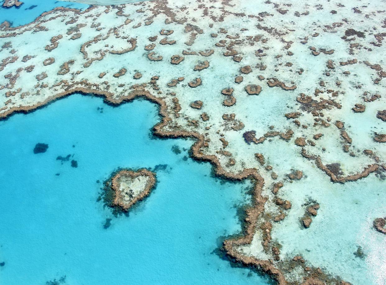 Australia's Great Barrier Reef Ayanadak123 via Wikipedia