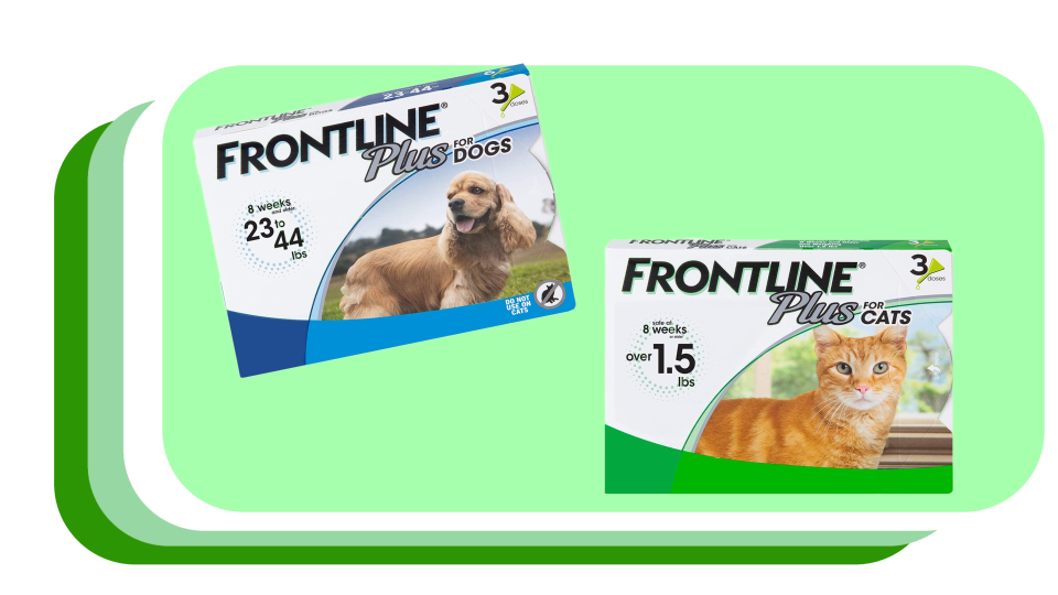 With Frontline, your pets who roam freely outdoors won't bring any unwanted visitors inside.