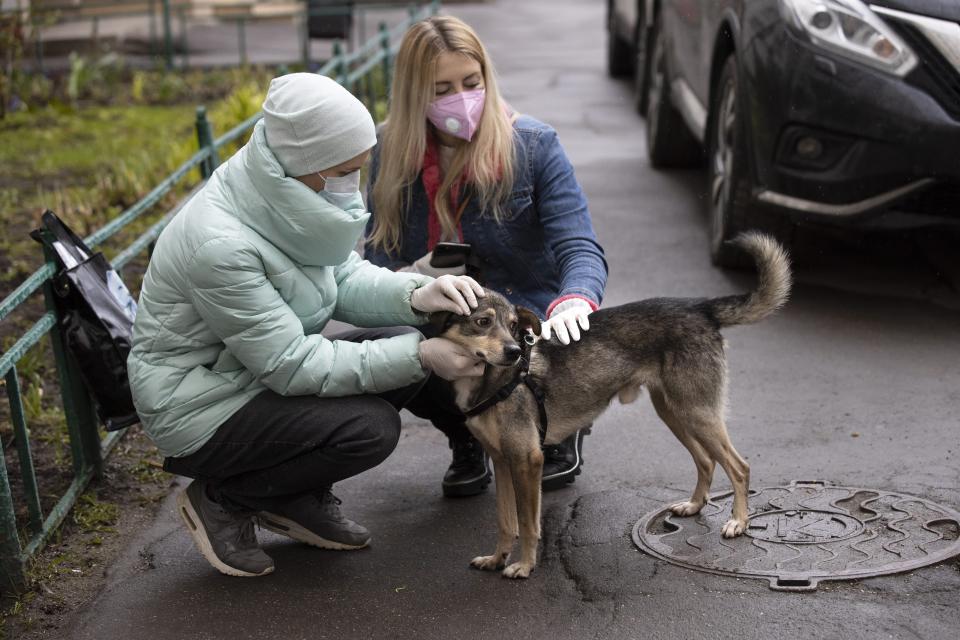 In this photo taken on Saturday, April 25, 2020, Alexandra Novatova, left, and Anastasia Medvedeva, one of the organizers of the online adoption initiative called "Happiness Delivered At Home", both wearing face masks and gloves to protect from coronavirus, pet Barly, the two year old mutt dog at Novatova's apartment building in Moscow, Russia. Alexandra Novatova opted to use a delivery service a big decision because she was ordering more than a pizza or a shipment of toilet paper. She got a dog brought to her door. With humans spending all day at home, it's an opportune period to find the time to acclimate a new dog and an online project is capitalizing on this to match shelter dogs with people. (AP Photo/Alexander Zemlianichenko)