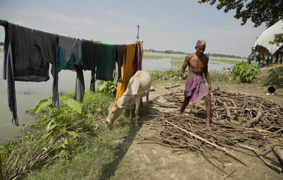 In this Thursday, Aug. 9, 2018 photo, Hindu farmer Khitish Namo Das, 50, who insists he was born in India, works at his house in Mayong, 45 kilometers (28 miles) east Gauhati, India. A draft list of citizens in Assam, released in July, put nearly 4 million people on edge to prove their Indian nationality. Khitish's family of eight, except for one daughter-in-law, are now considered illegal. (AP Photo/Anupam Nath)