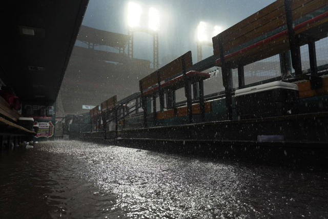 St. Louis Cardinals' Harrison Bader bats during a baseball game against the  Pittsburgh Pirates Wednesday, May 19, 2021, in St. Louis. (AP Photo/Jeff  Roberson Stock Photo - Alamy