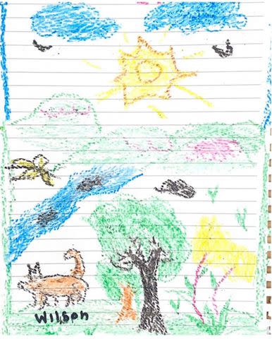 <p>Colombian ministry of defence</p> Lesly, 13, made a colorful drawing for Wilson the rescue dog