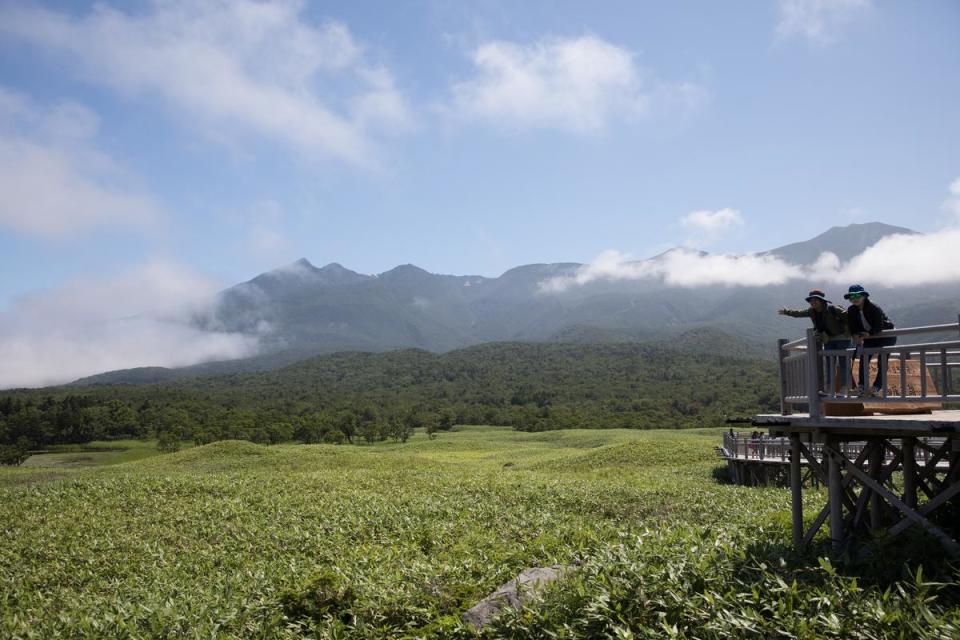 走在木製高架橋上，輕鬆享受北海道的北國魅力。