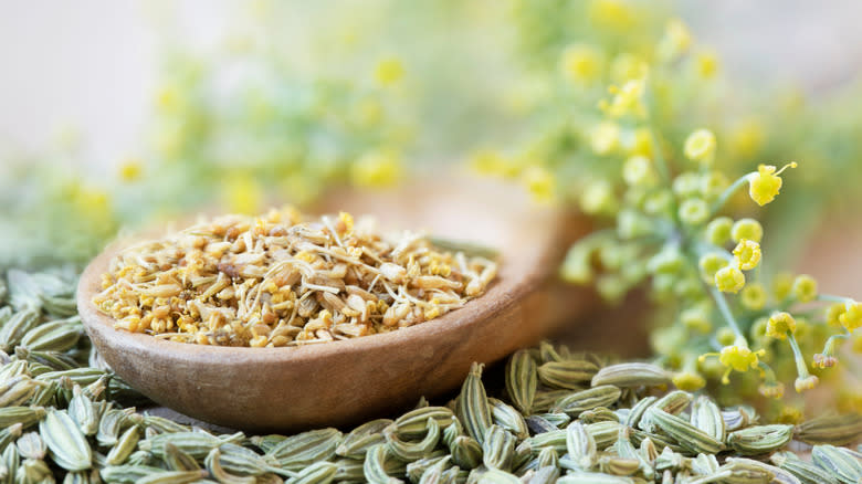 fennel pollen in a wooden dish surrounded by fennel seeds and flowers