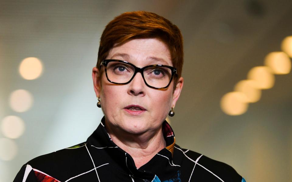 Marise Payne addresses the issue on Monday - Lukas Coch/AAP