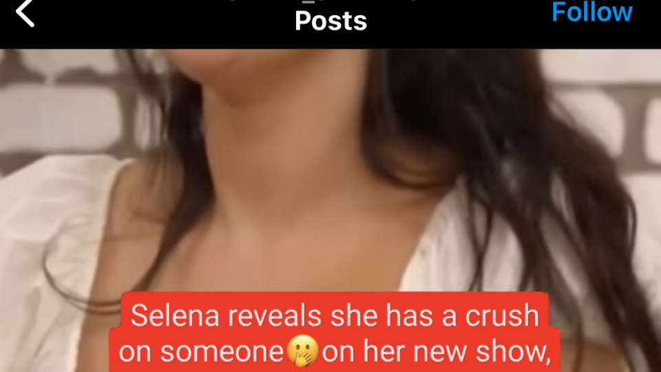 selena gomez's comment on the crush post