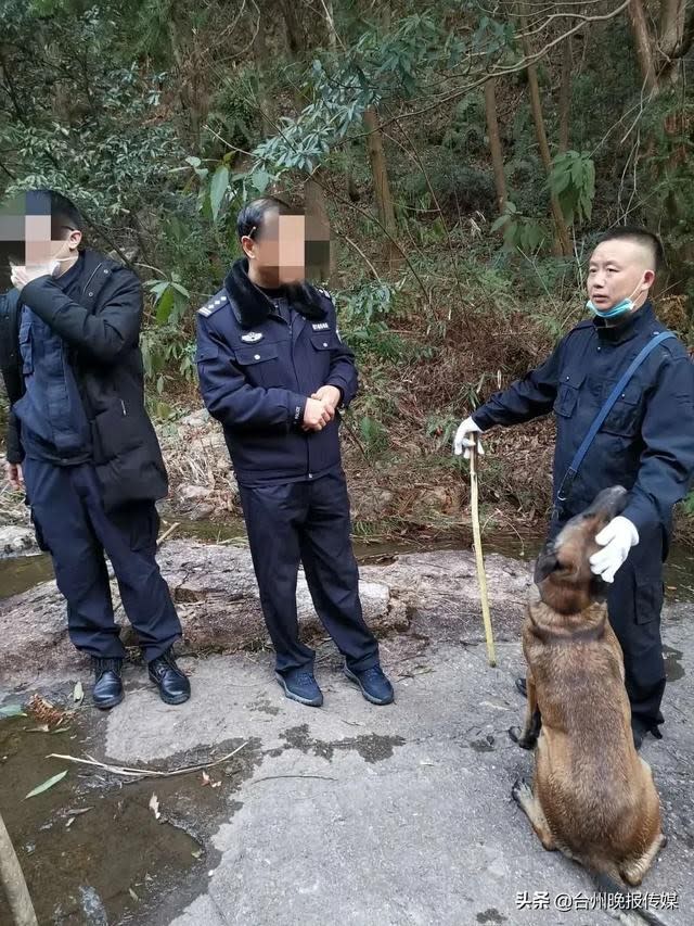 上萬人次搜救，外加空拍機、搜救犬進山找人。（圖／翻攝自微博台州晚報傳媒）