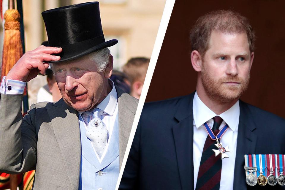 King Charles and Prince Harry (AFP/Getty)