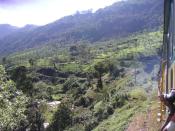 Take one look at the breathtaking beauty of the terrains that this train navigates and it's clear why the NMR truly deserves to be a World Heritage Site!