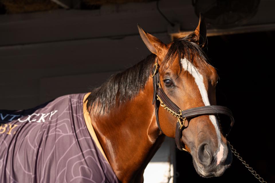 Mystik Dan, the winner of the 150th Kentucky Derby, is walked around Kenny McPeek’s barn on Sunday at Churchill Downs.