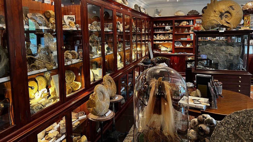 Wooden display cabinets and tables full of artefacts