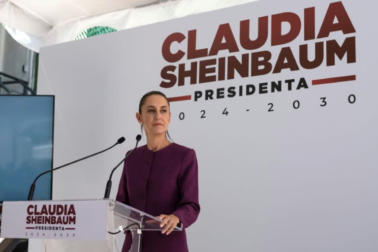 La presidenta electa Claudia Sheinbaum habla durante una rueda de prensa posterior a una reunión con una delegación de EEUU, el 11 de junio de 2024 en Ciudad de México (Yuri Cortez)