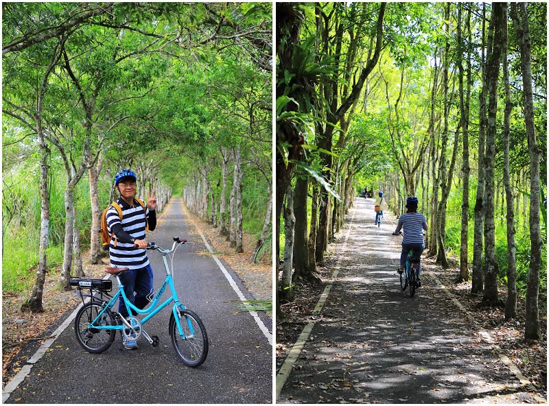 騎單車遊花東縱谷