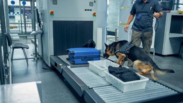 TSA calls video of worker aggressively handling dog 'unacceptable'