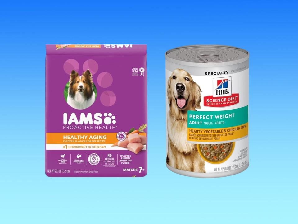 A bag of Iams Healthy Aging dog food and a can of Hill's weight loss dog food on a blue background.