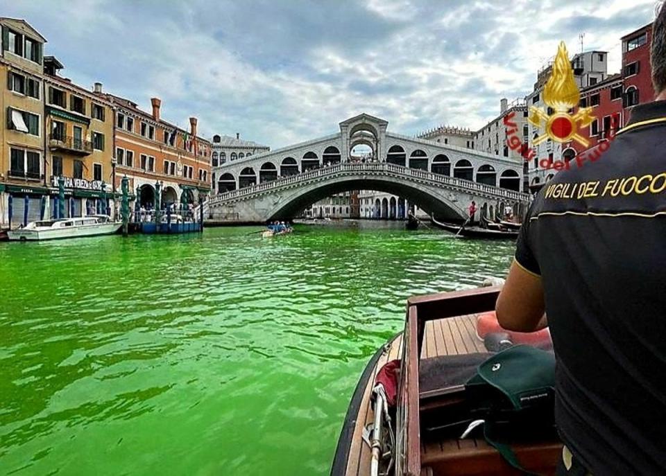 Venice's waters turn green (via REUTERS)