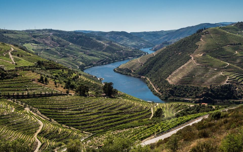Vineyards in the Douro Valley - elzauer/Moment RF