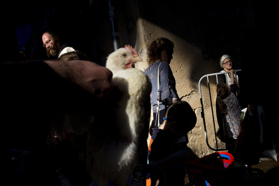 An ultra-Orthodox Jewish man holds a chicken during the Kaparot ritual in Bnei Brak, Israel, Sunday, Sept. 16, 2018. (AP Photo/Oded Balilty)