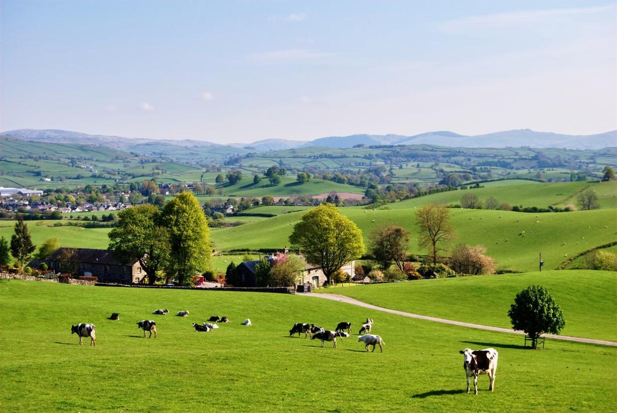 <p>Farming at scale is rather less rosy in reality than in those polished ‘Countryfile’ stories we see on a Sunday evening</p> (Getty Images/iStockphoto)