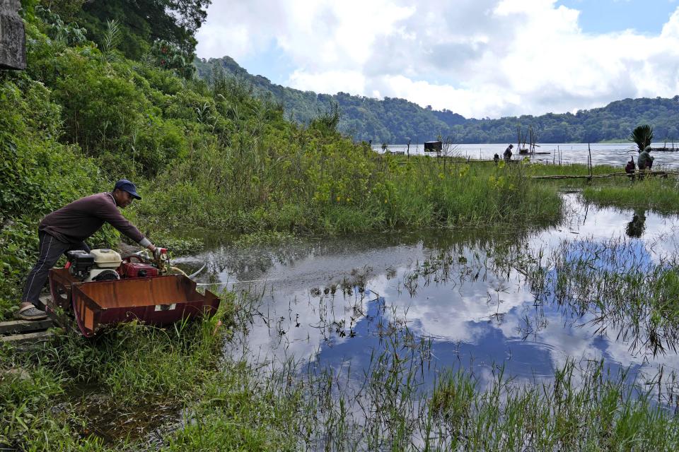 A man collects water from the Tamblingan lake in Buleleng Bali, Indonesia, Saturday, April 16, 2022. In less than a decade, Bali's water table has decreased over 50 meters (164 feet) in some areas, raising concerns that it could lead to worsening water crisis on the tropical tourist destination. (AP Photo/Tatan Syuflana)