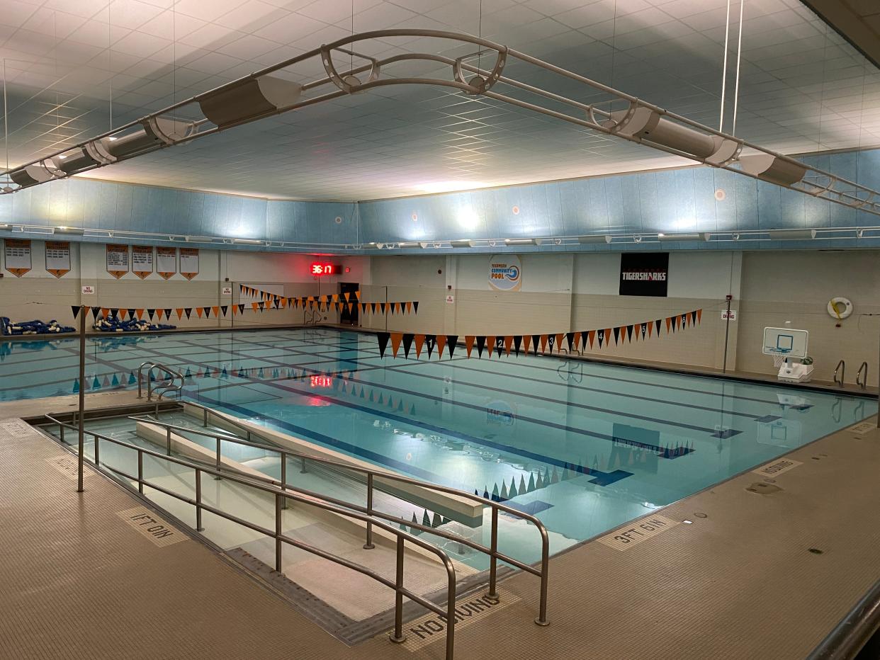 The Tecumseh Public Schools will ask voters in August to approve a millage to pay for repairs to the roof of the Tecumseh Memorial Community Pool, pictured April 10.