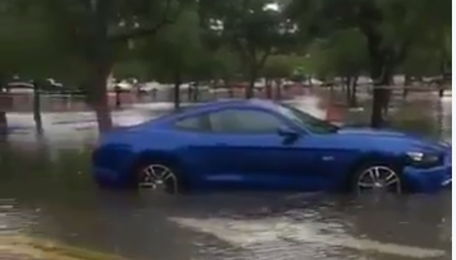 JUST IN: Sawgrass Mills Mall closed due to flooding; cars submerged in lot