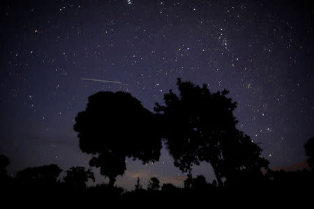 Trees are seen at night in Boucan Ferdinand, Haiti, October 10, 2018. Picture taken with long exposure. REUTERS/Andres Martinez Casares