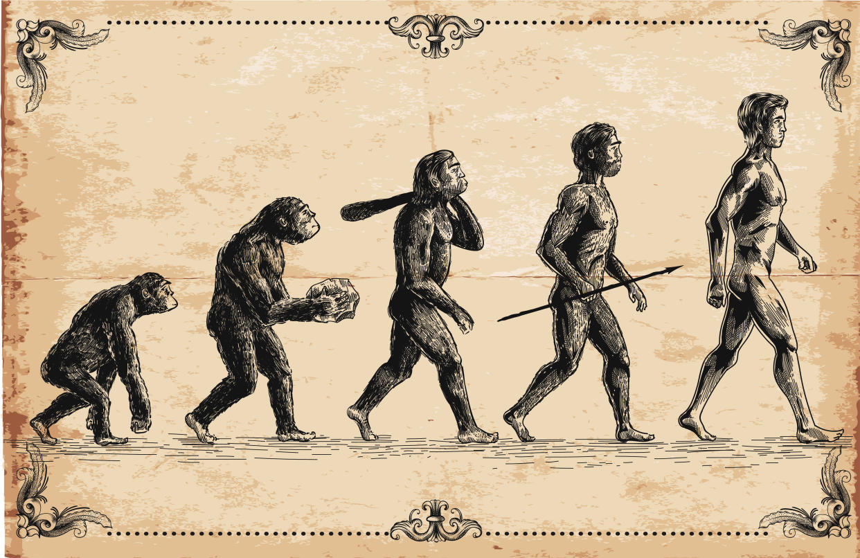 Evolución Humana