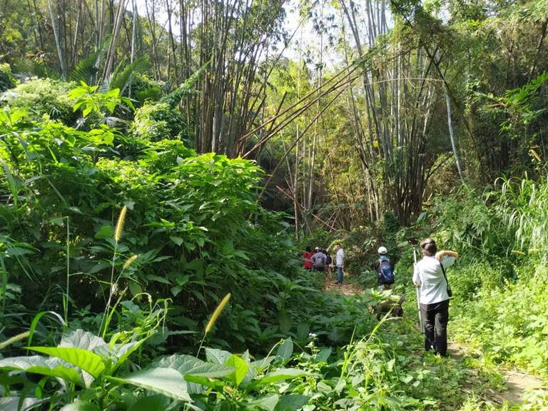 參山處生態旅遊賞鵟鷹探溪蝦　1張國旅券2人同行