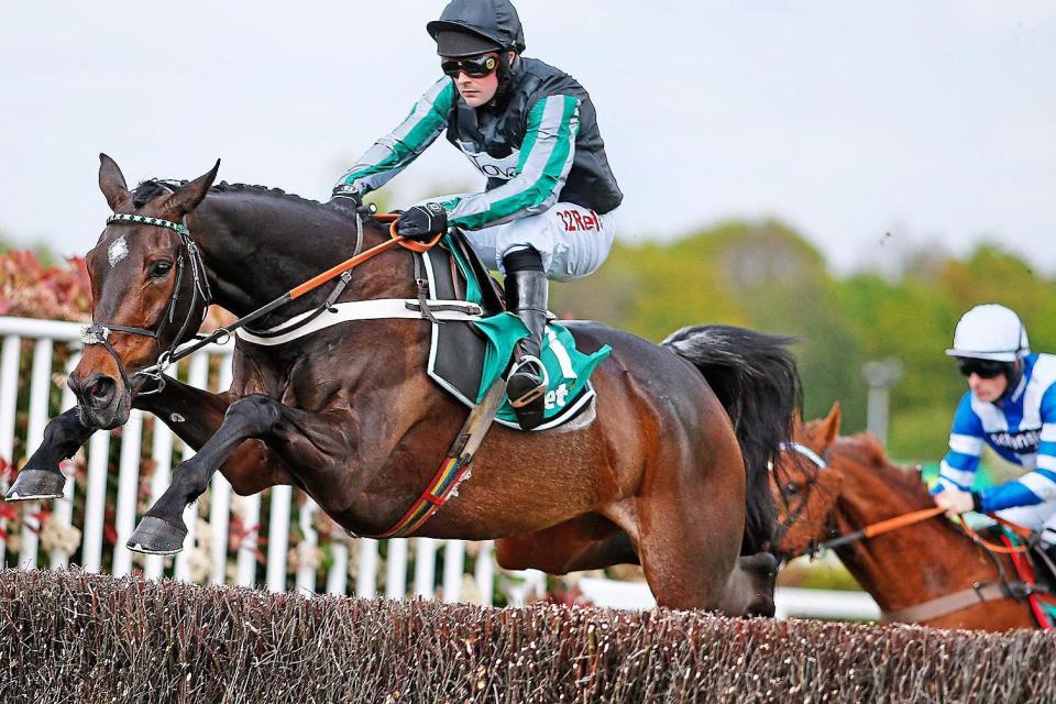 Major force | Altior, already twice a winner at the Festival, will be tough to beat in the Queen Mother Champion Chase on Wednesday: Alan Crowhurst/Getty Images