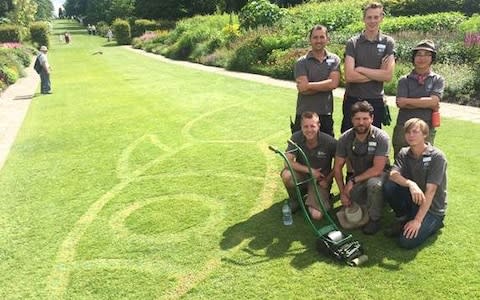 The dedicated team of gardeners in charge of creating and maintaining Wisley's turf art - Credit: Clive Gravett