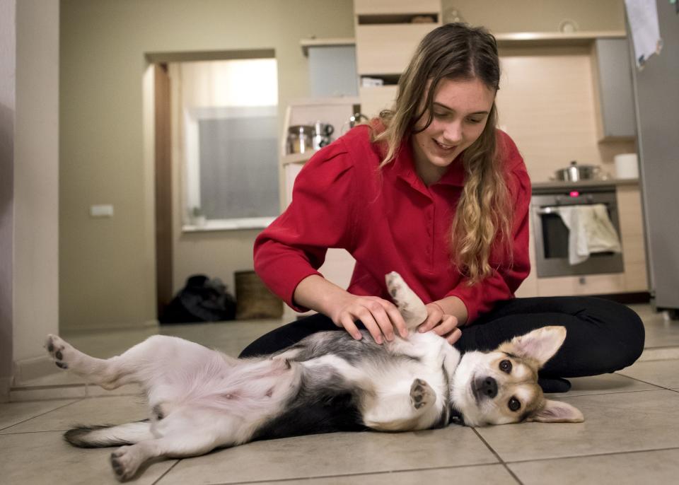 In this photo taken on Saturday, Feb. 2, 2019, Ruta Buisaite, plays with her new pet dog Cipe, that she adopted, thanks to the new mobile app, GetPet, at her home in Vilnius, Lithuania. A group of animal enthusiasts in Lithuania have created the GetPet mobile app inspired by the popular dating app Tinder, to match up dogs in local shelters with potential new owners. (AP Photo/Mindaugas Kulbis)