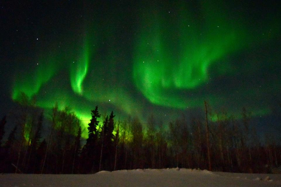 Green aurora borealis appears in the sky on January 6, 2017, trees and snow in the foreground, along the George Parks highway about 15 miles west of Fairbanks, Alaska.