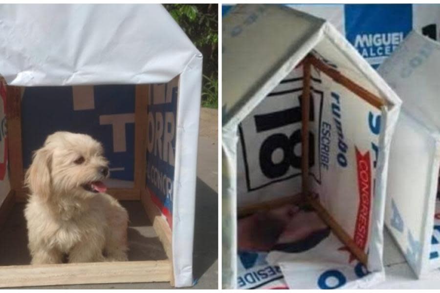 ¡Con propaganda electoral! Utilizan carteles políticos para construir casas para perritos