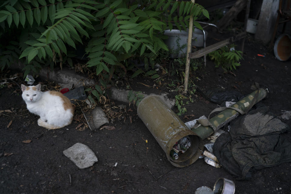 A cat sits next to the remains of equipment used by Russian soldiers in the freed village of Hrakove, Ukraine, Tuesday, Sept. 13, 2022. Russian troops occupied this small village southeast of Ukraine’s second largest city of Kharkiv for six months before suddenly abandoning it around Sept. 9 as Ukrainian forces advanced in a lightning-swift counteroffensive that swept southward. (AP Photo/Leo Correa)