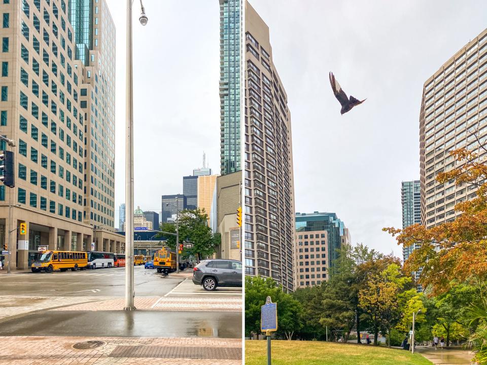 Side-by-side photos of Toronto in the rain