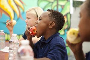 Food Lion announced its partnership with No Kid Hungry in 2019. No Kid Hungry helps to reduce the gap between the number of school children who are eligible to receive free school breakfast and those children who receive the meal. They are committed to feeding children so they can reach their full potential.