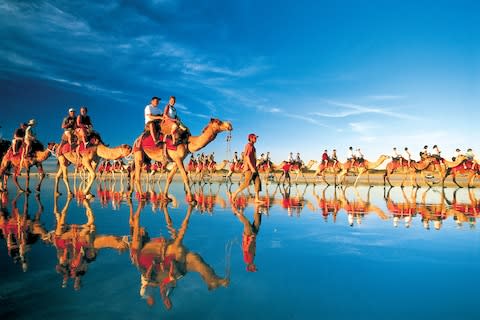 Australia is riddled with camels - Credit: getty