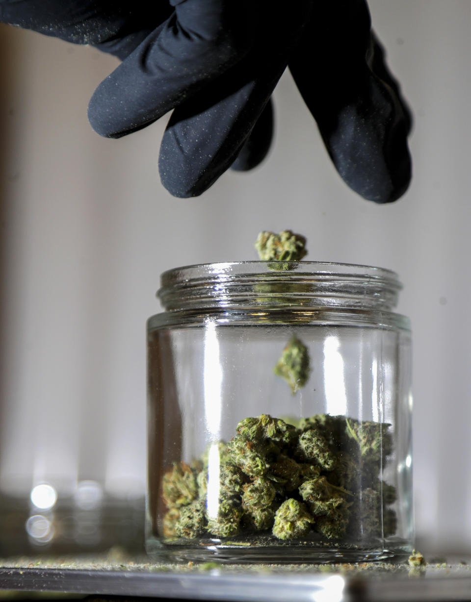 FILE - In this March 22, 2019 file photo, shows marijuana buds being sorted into a prescription jar at Compassionate Care Foundation's medical marijuana dispensary in Egg Harbor Township, N.J. Voters in four states could embrace broad legal marijuana sales on Election Day, setting the stage for a watershed year for the industry that could snowball into neighboring states as well as reshape policy on Capitol Hill. The Nov. 3, 2020, contests will take place in markedly different regions of the country, New Jersey, Arizona, South Dakota and Montana and approval of the proposals would highlight how public acceptance of cannabis is cutting across geography, demographics and the nation's deep political divide. (AP Photo/Julio Cortez, File)