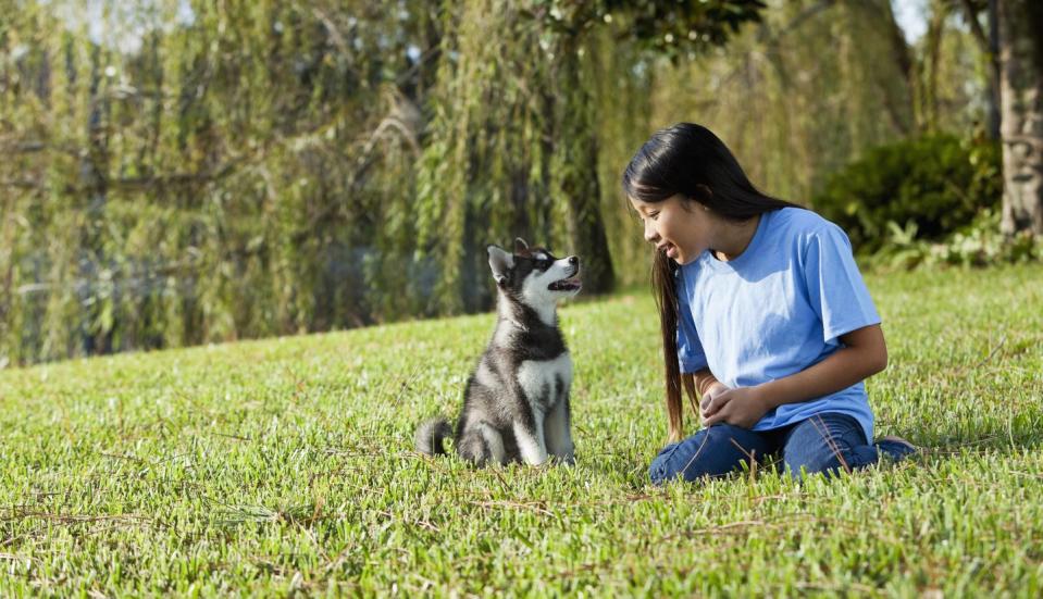 DO: start training as early as your pup is ready