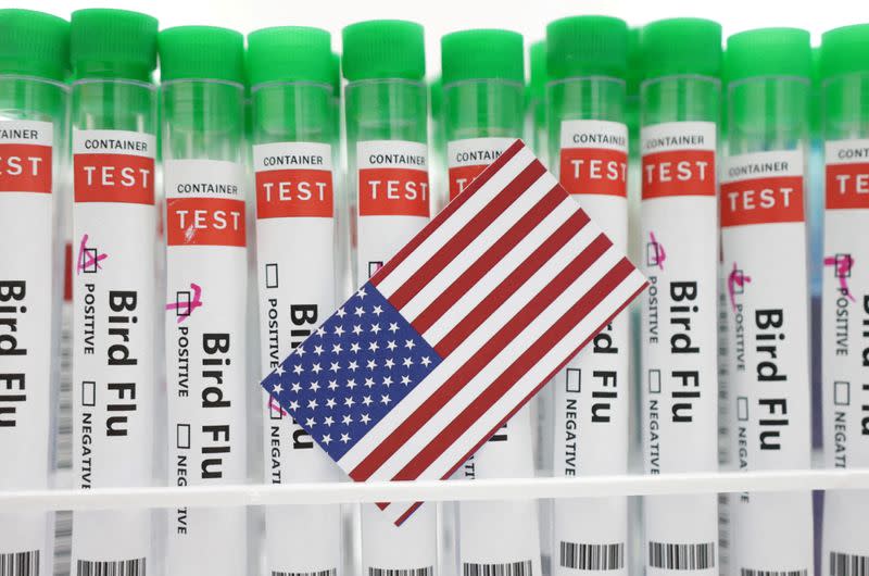 FILE PHOTO: Illustration shows test tubes labelled "Bird Flu" and U.S. flag