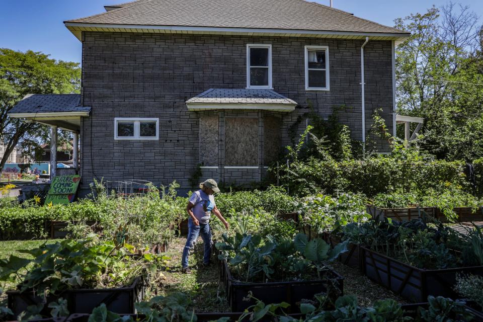 Sandra "Garden Diva" Sanders, 66, of Detroit, is working in the community garden she grew at Avalon Village in Highland Park, Mich., on Thursday, Aug. 31, 2023. The garden sits in an empty lot and is at risk. Premier Michigan Properties LLC with a mailing address of La Jolla, Calif., owns the vacant home next to the garden and wants to buy the lot. So does Avalon Village. Now, neighbors are fiercely pushing back against the company.