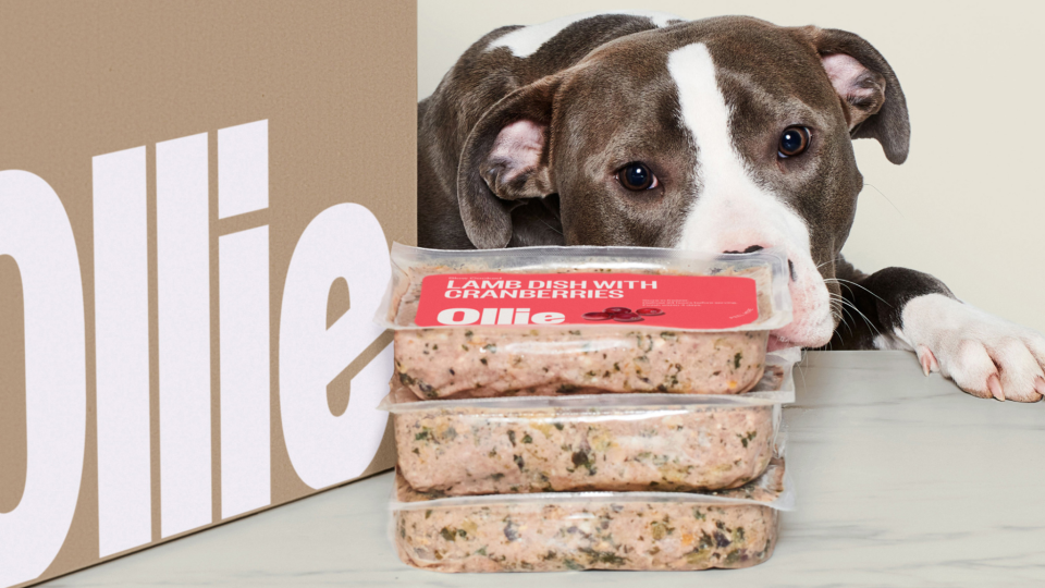 Snag 60% off your first order of Ollie Dog Food right now.