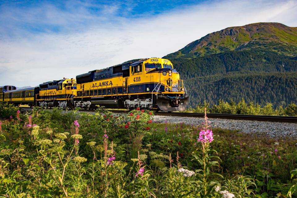 A blue and yellow Alaska Railroad train in spring.