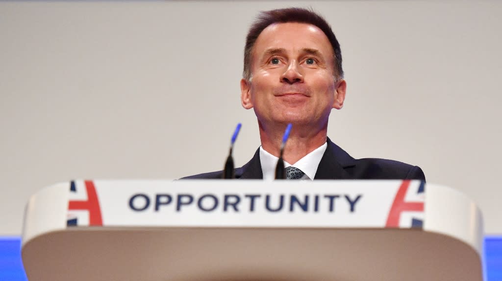 Foreign Secretary Jeremy Hunt has come under fire for comparing the EU to the Soviet Union (AFP Photo/Ben STANSALL)