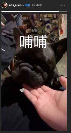 黃鴻升最後的IG Story，貼出一段與黑狗玩的影片，畫面留下「哺哺」兩字。