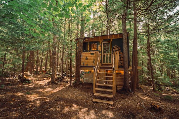 45) Lovely Treehouse in the Woods