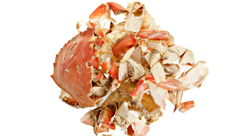 crab shell pieces with white background